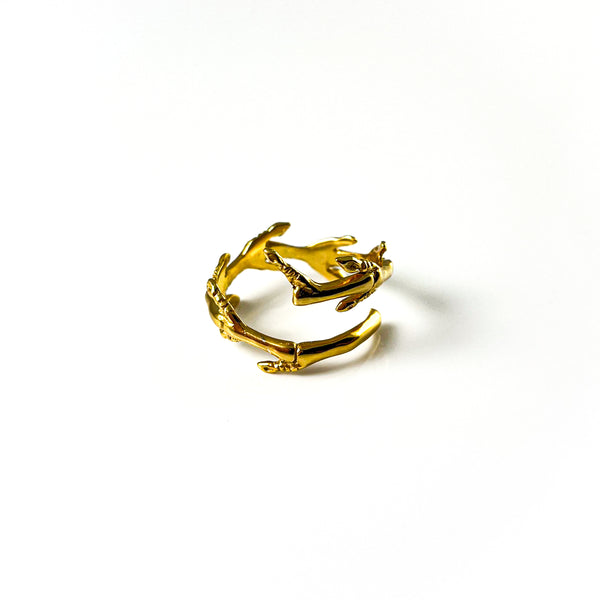 Roots ring